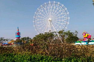 芜湖新增大型游乐园 秋浦公园 暂定大年初一试营业